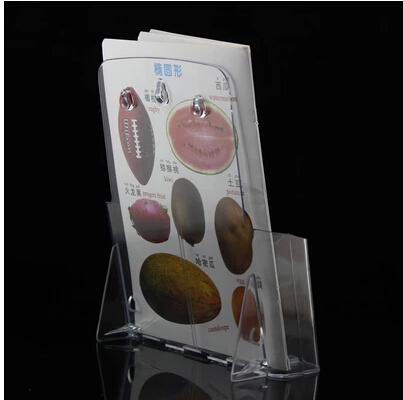 A4 single acrylic promotional stand